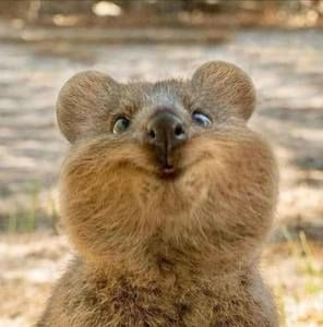 Meet your Posher, Christl